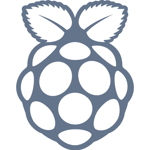 Raspberry Pi icon.